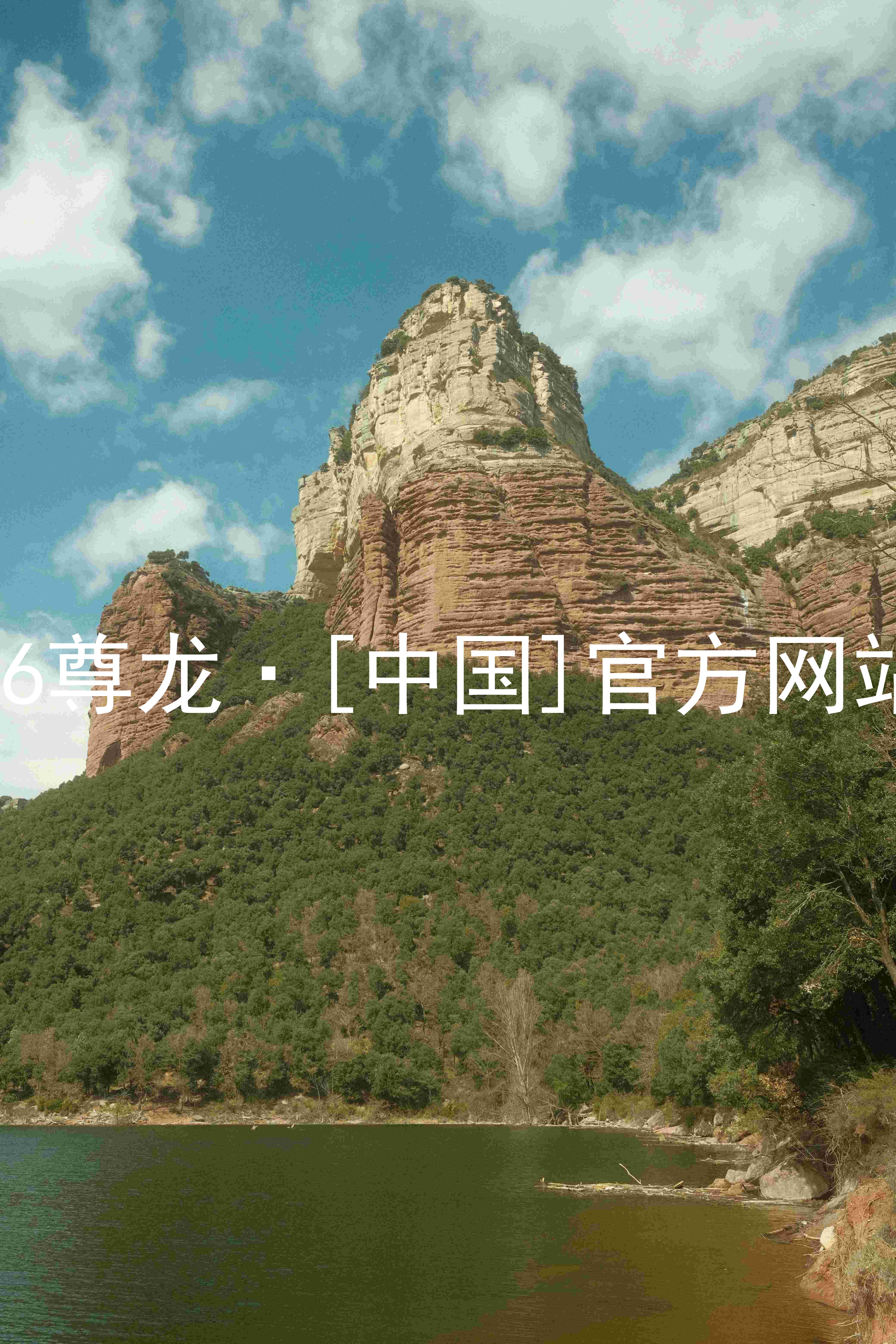 z6尊龙·[中国]官方网站